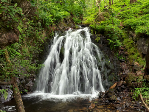 A waterfall that is surrounded by foliage deep within a forest.